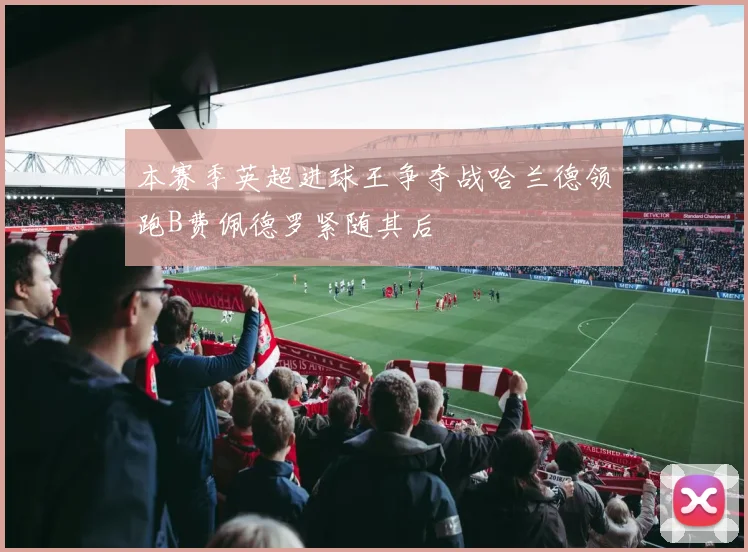 本赛季英超进球王争夺战哈兰德领跑B费佩德罗紧随其后